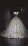 Sparkly Sweetheart Neck Ball Gown Wedding Dress Tulle Beaded Bridal Dress Glamour Applique Bridal Gowns HZ1121