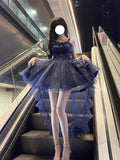Vintage Ball Gown Spaghetti Straps Navy Blue Tulle 22th Birthday Dress Lolita Dress Lolita Outfits HZ1121